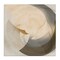 Stupell Industries Shadowed Form Curve Canvas Wall Art Design by Noah Bay